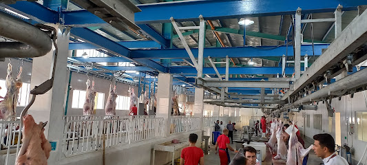 کشتارگاه صنعتی فراهان دام فارس