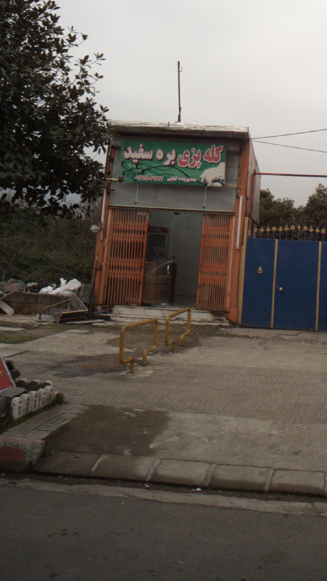کله پزی بره سفید
