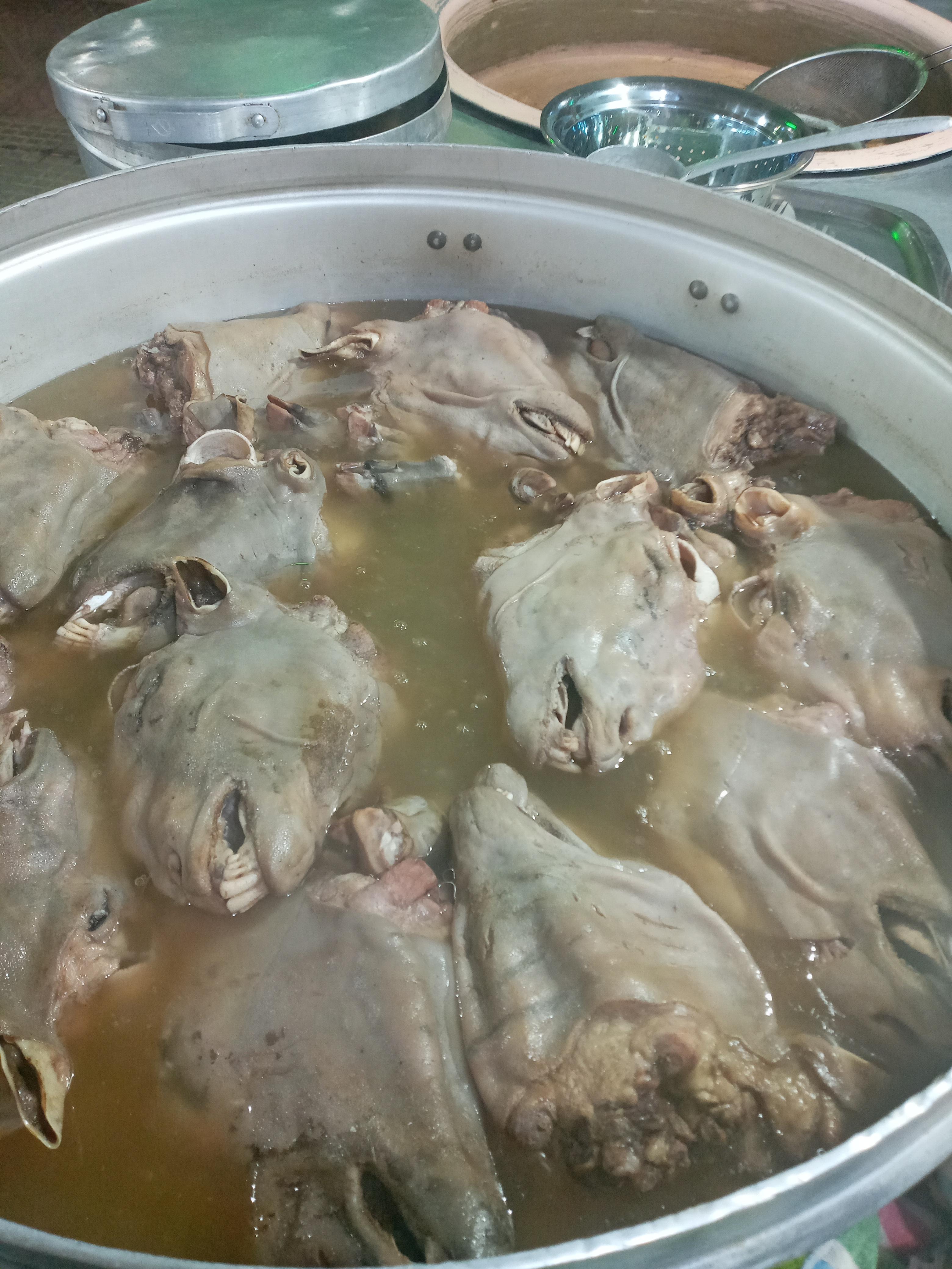 کله پزی شاخ طلا