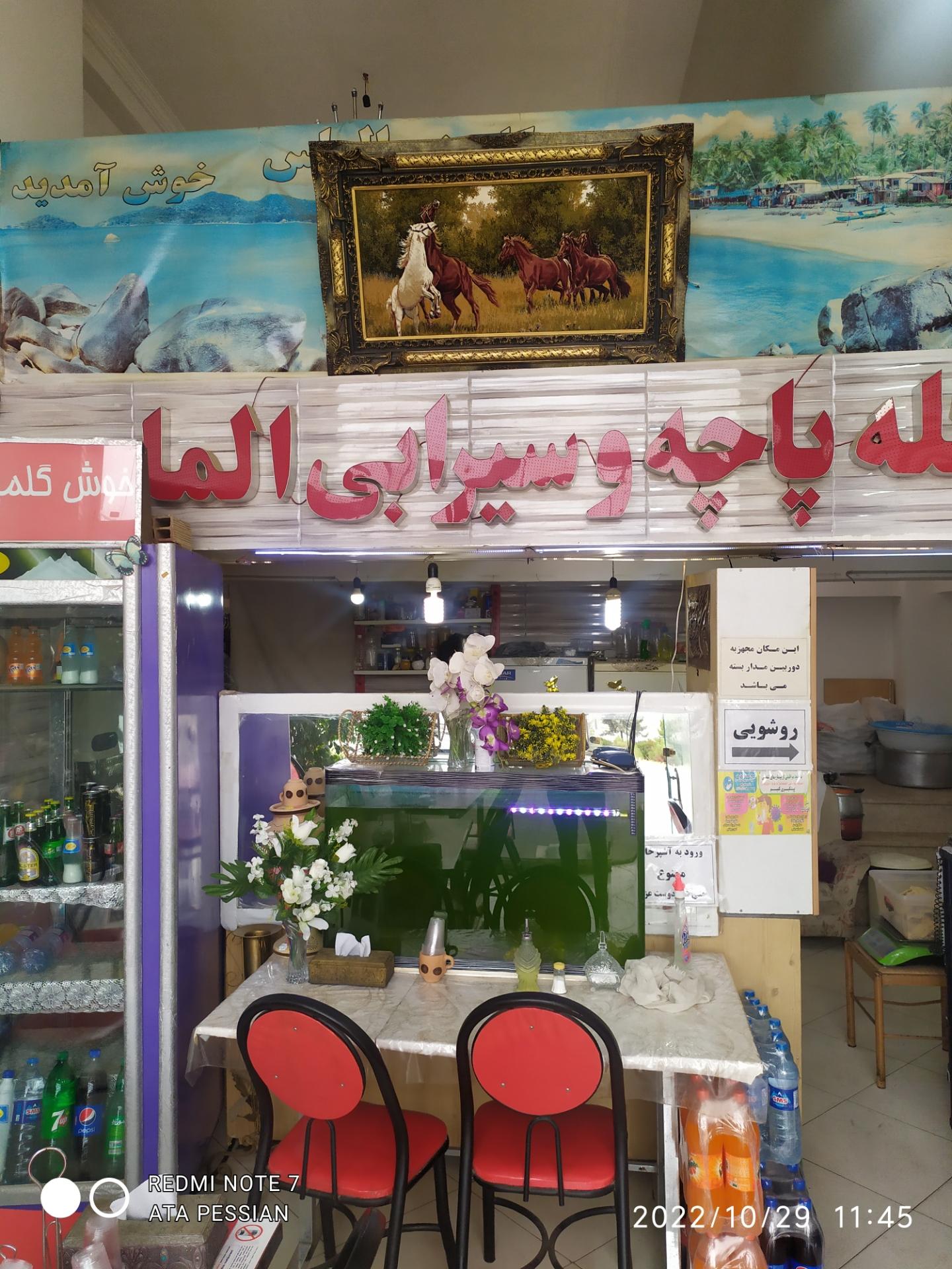 کله پزی و جگرپزی سالار