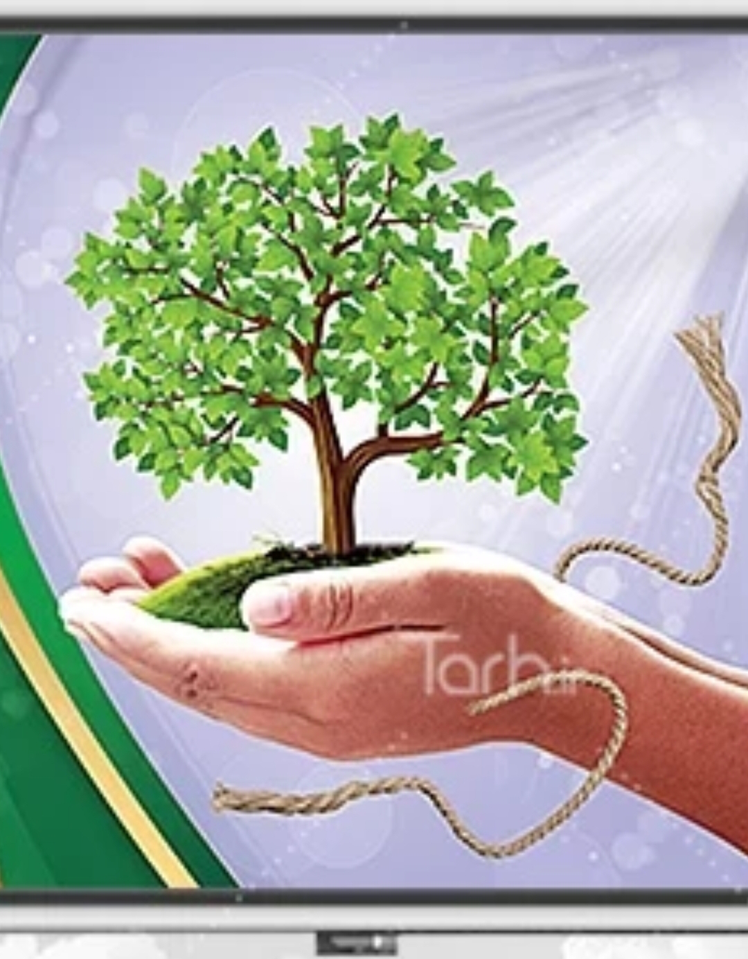 کلینیک ترک اعتیاد گندم