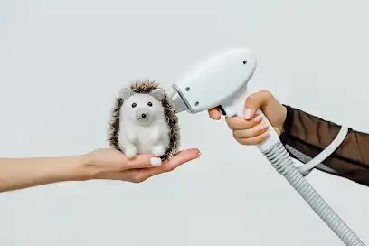 کلینیک زیبایی نوژا