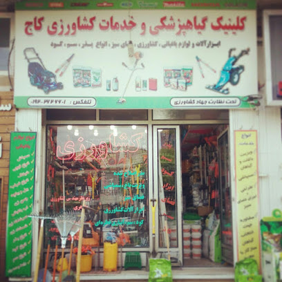کلینیک گیاه پزشکی کاج