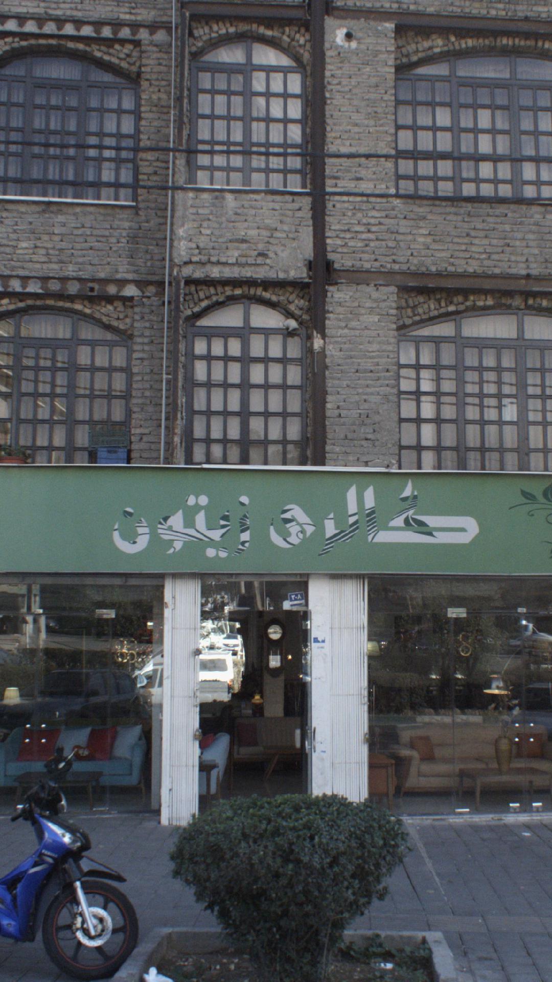 گالری زیتون