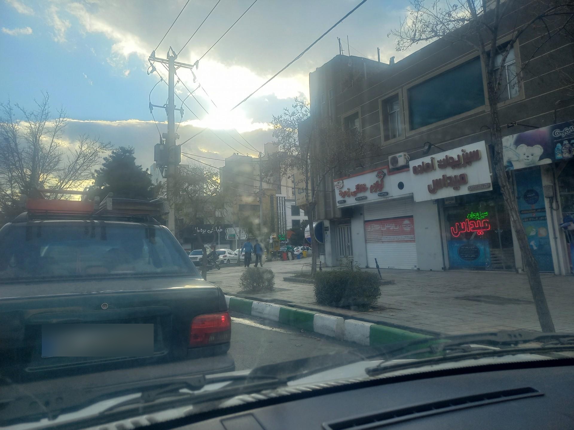 گالری نوژا