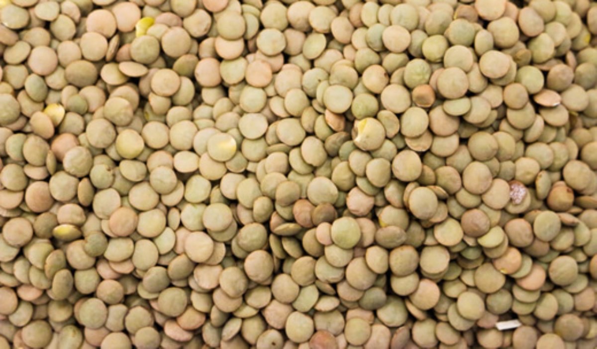 گروه بازرگانی پارس راد اروند