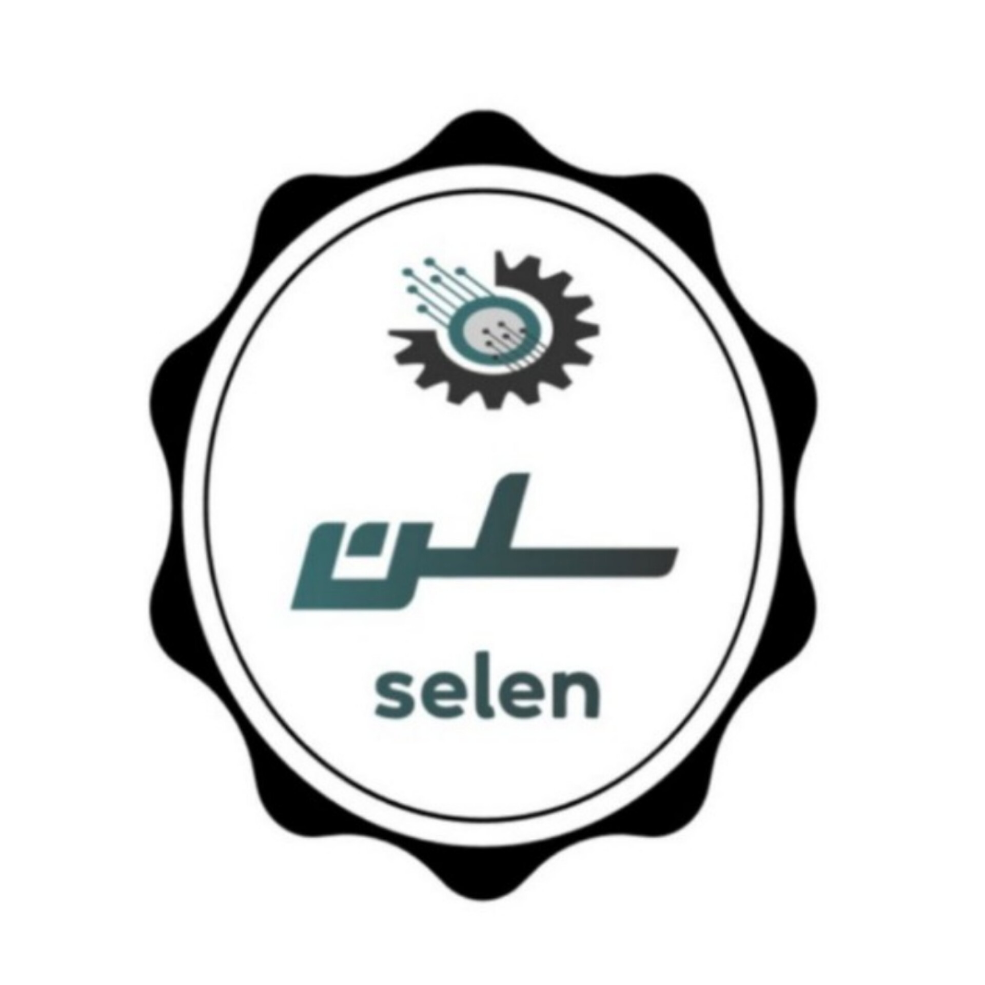 گروه تولیدی و صنعتی سلن