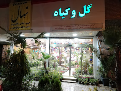 گل وگیاه آقاخانی