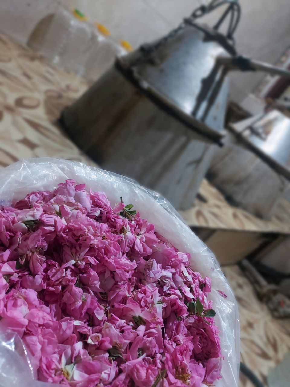 گلاب و عرقیات اصل کاشان