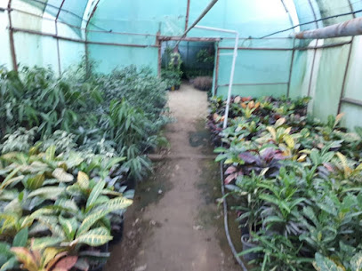 گلخانه همیشه بهار