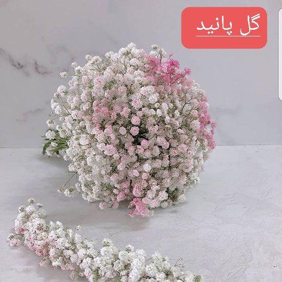 گلسرای پانیذ