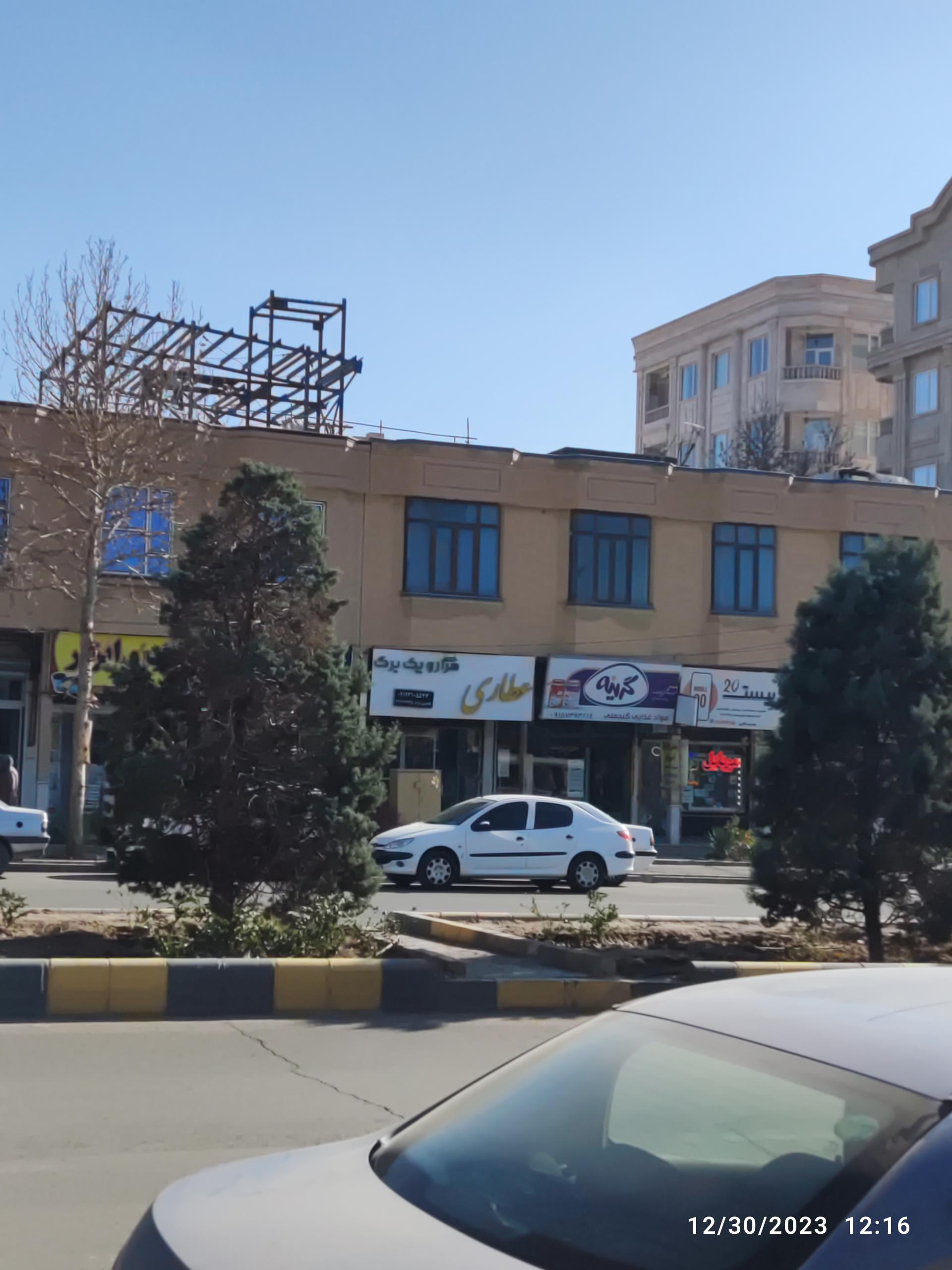 گیاهان دارویی آدونیس