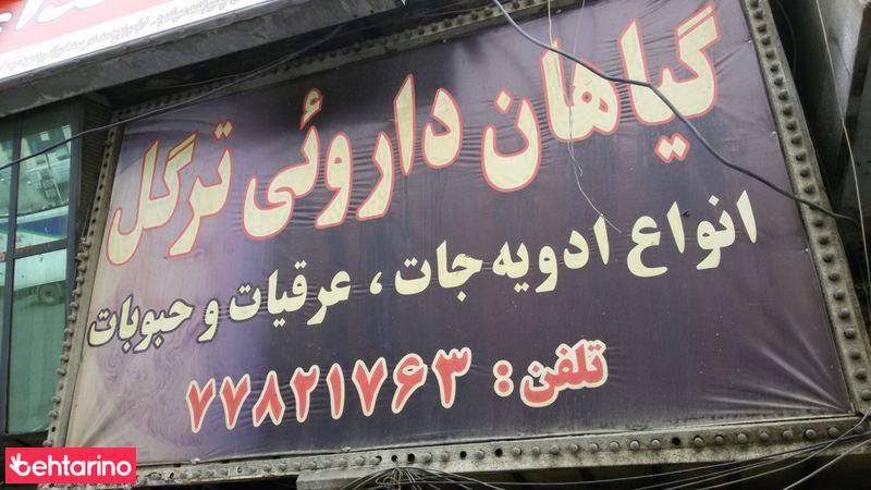 گیاهان دارویی ترگل