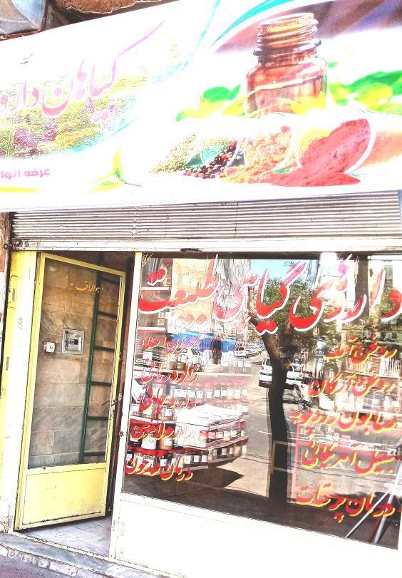 گیاهان دارویی طبیعت