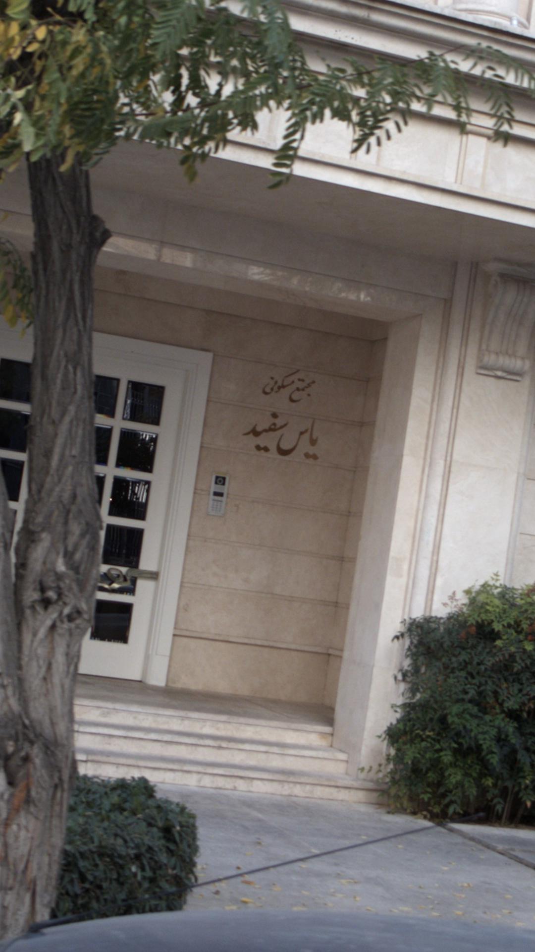 یاس سفید